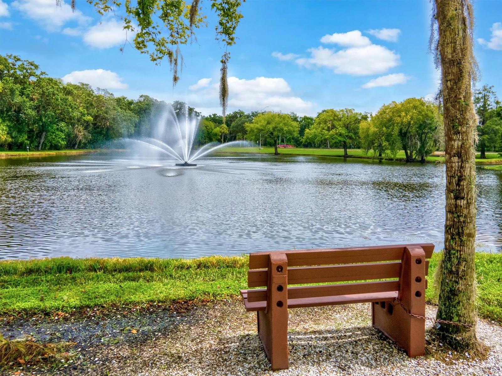 Image 39 of 50 For 5354 Myrtle Wood  50