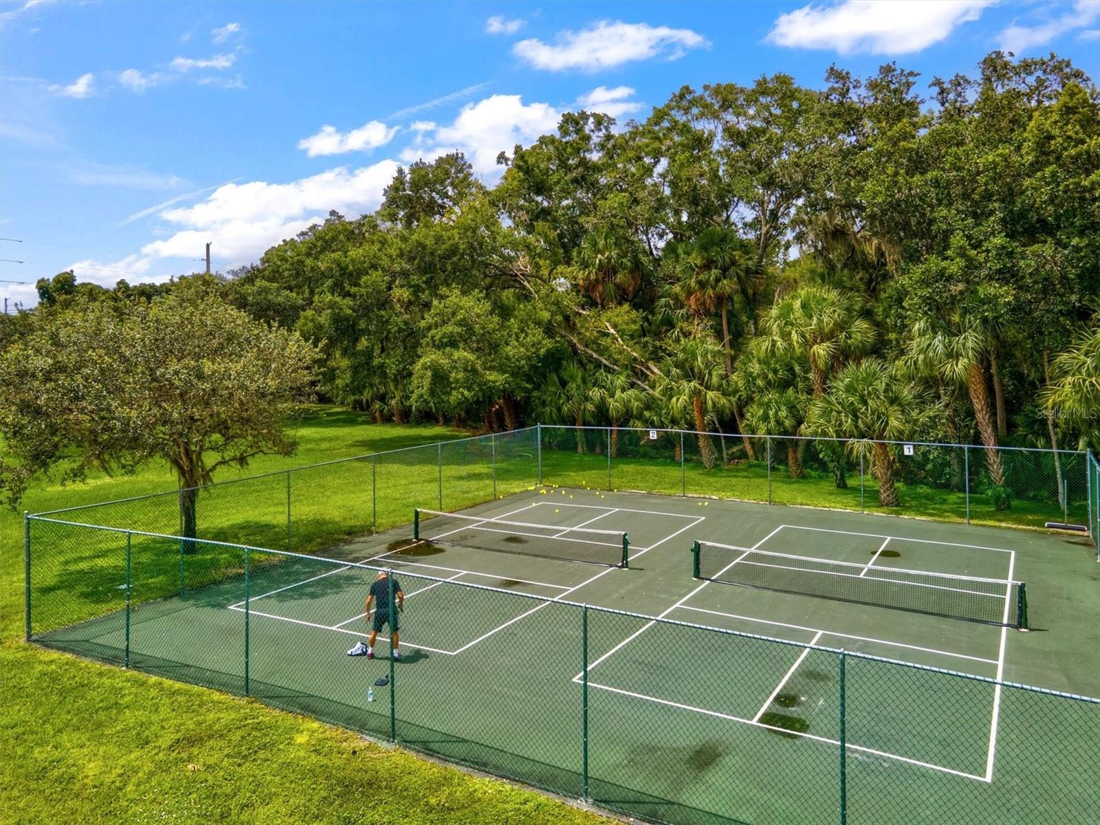 Image 48 of 50 For 5354 Myrtle Wood  50