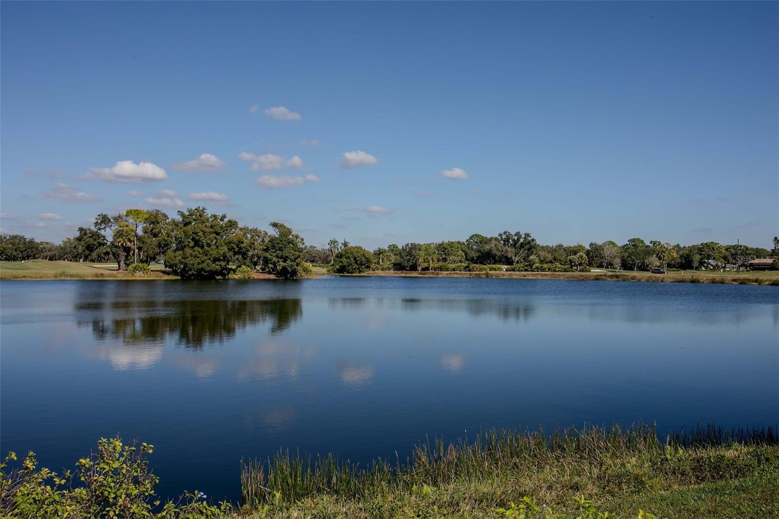 Image 53 of 58 For 6404 Wentworth Crossing