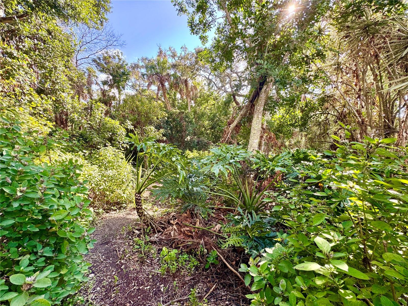 Image 57 of 77 For 4543 12th Street Court E