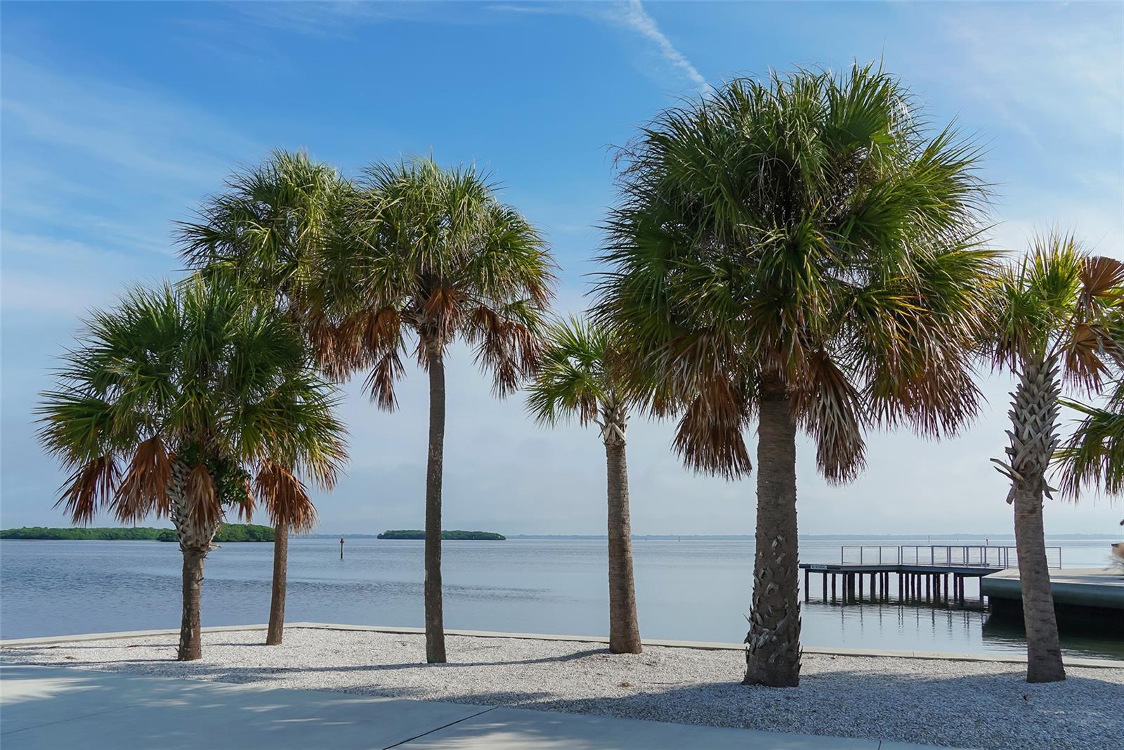 Image 15 of 29 For 579 Bayview Drive