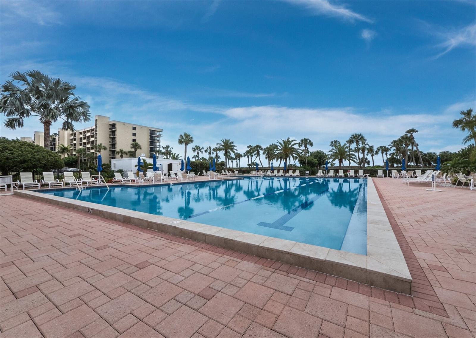 Image 41 of 57 For 1135 Gulf Of Mexico Drive 605