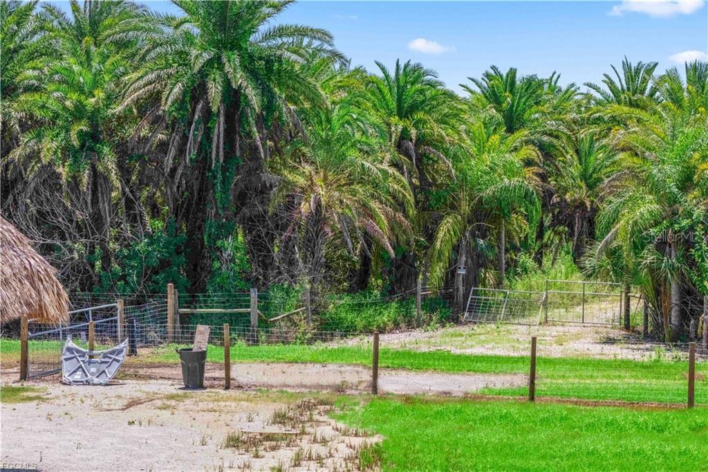 Image 12 of 22 For 6250 Masters Landing Drive