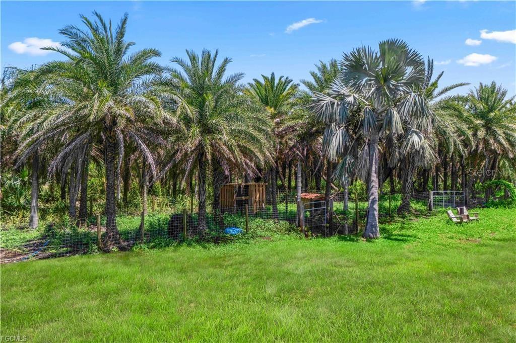 Image 15 of 22 For 6250 Masters Landing Drive