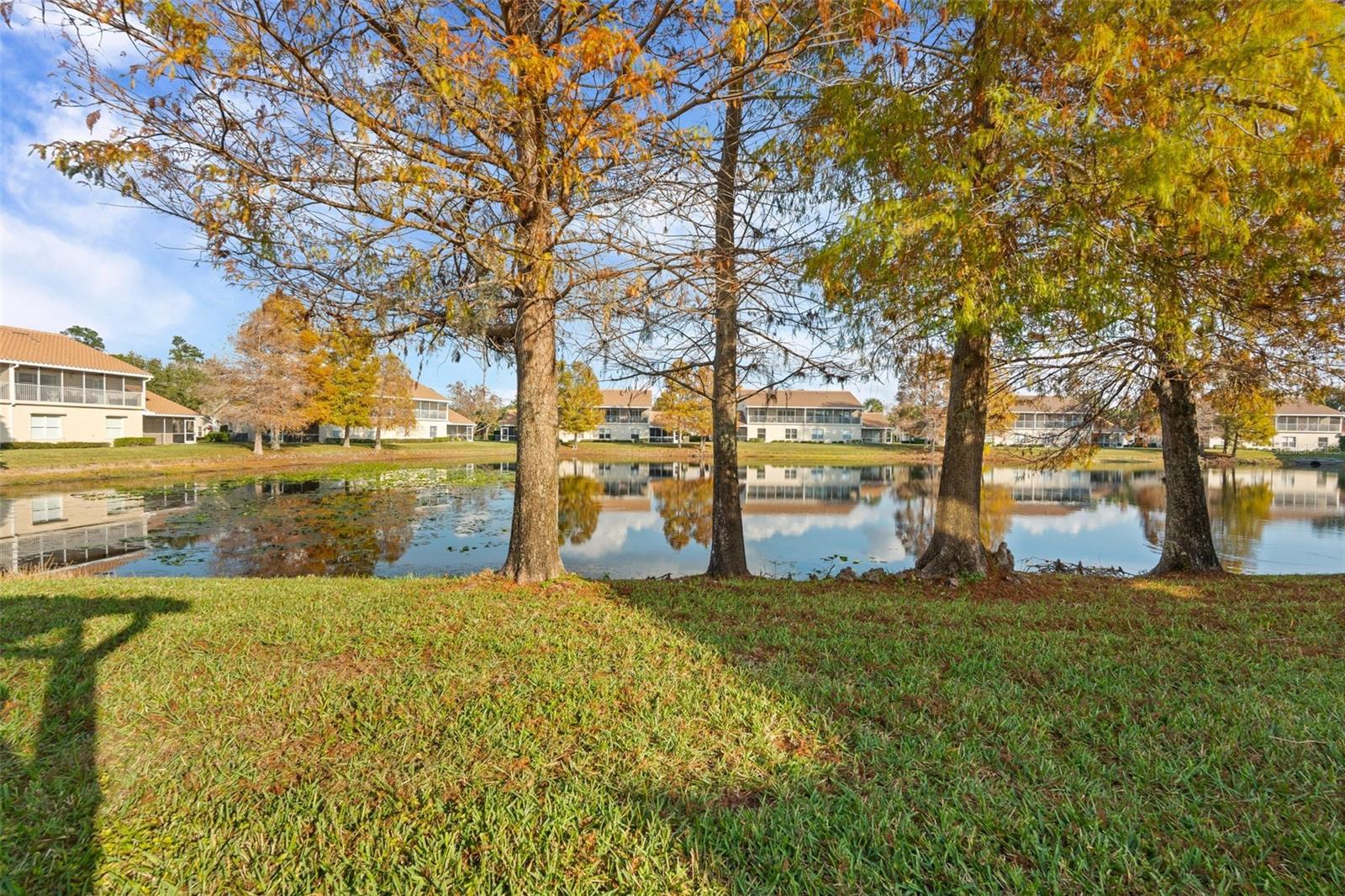 Image 16 of 95 For 7123 Strand Circle