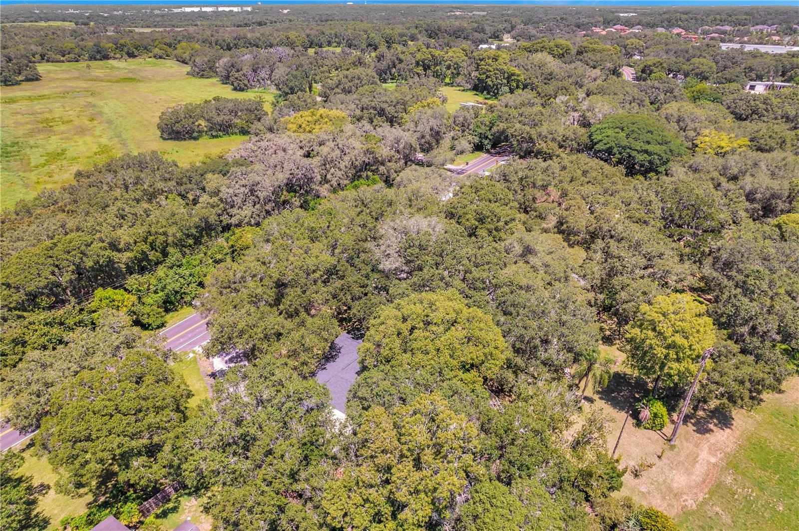 Image 100 of 100 For 7405 Williams Road