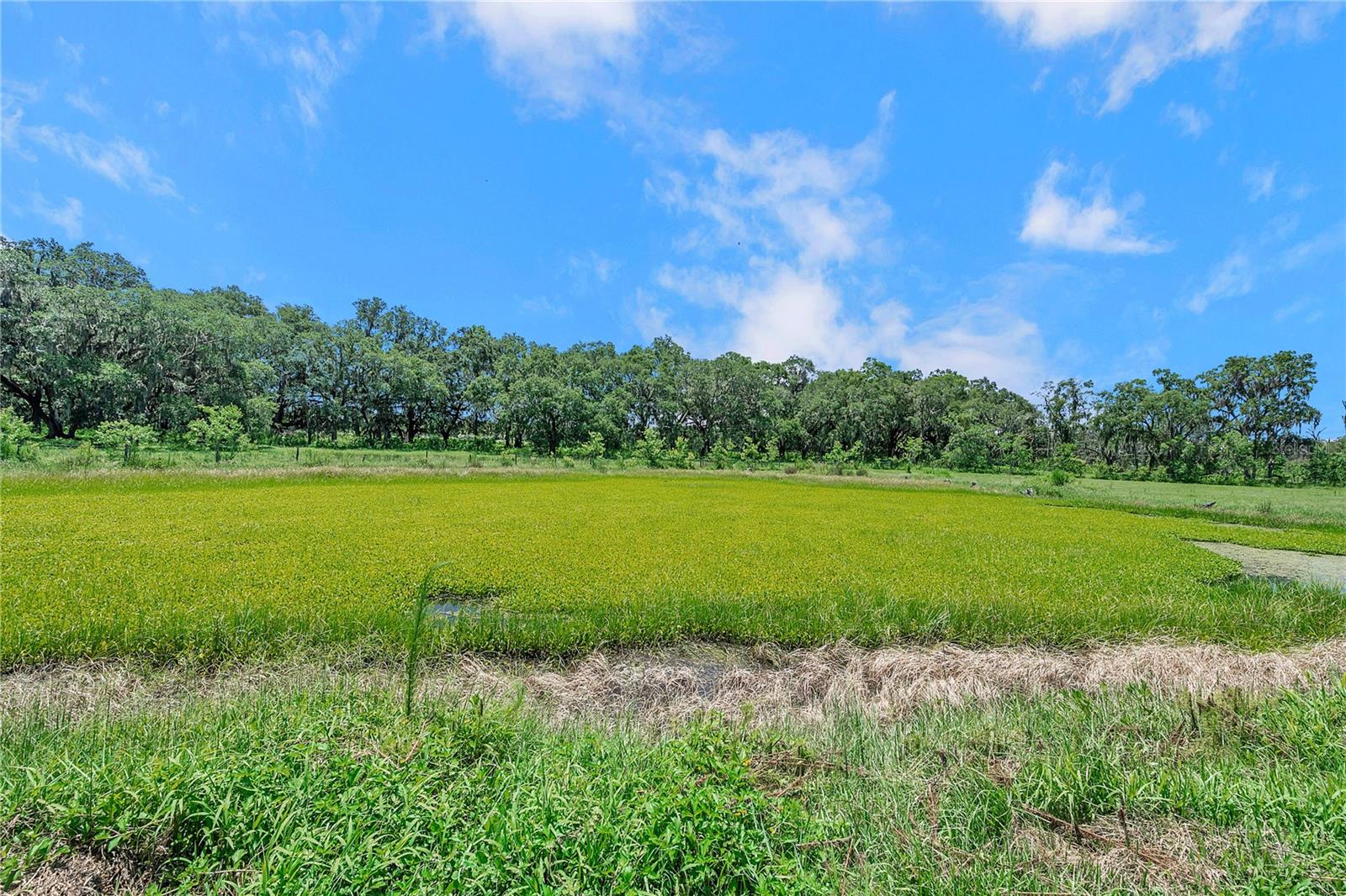 Image 67 of 100 For 7405 Williams Road