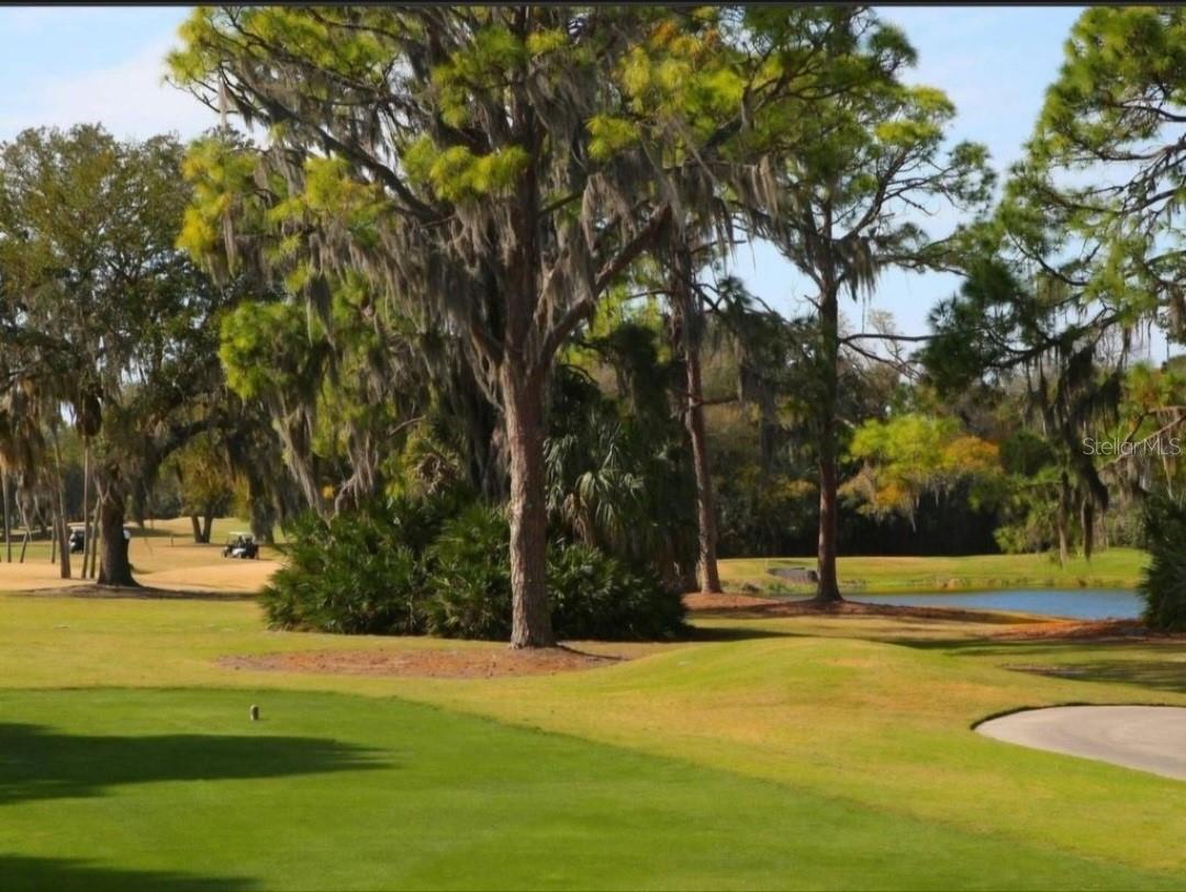 Image 12 of 22 For 3523 Longmeadow  12