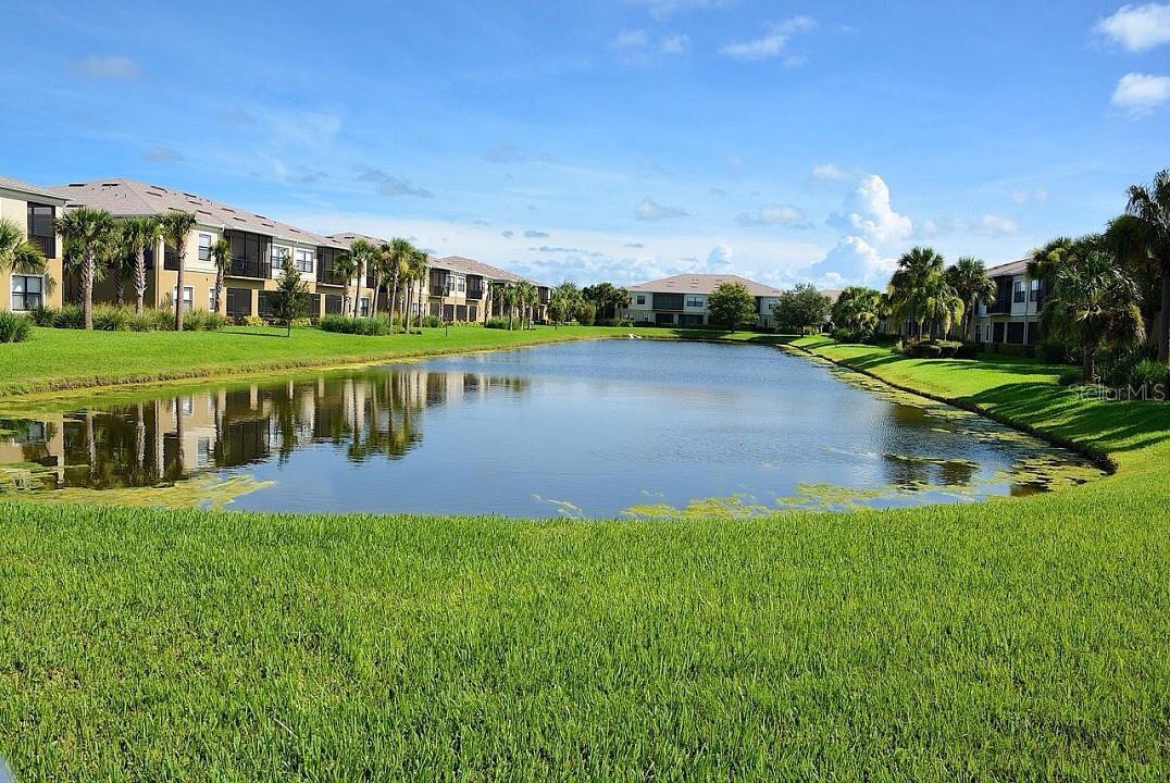 Image 43 of 45 For 4174 Overture Circle 519