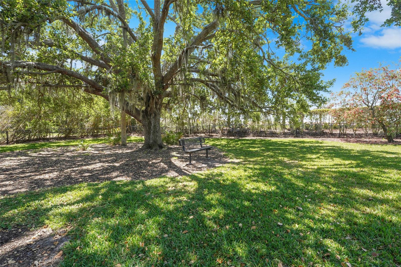 Image 83 of 86 For 5400 Lampiasi Street