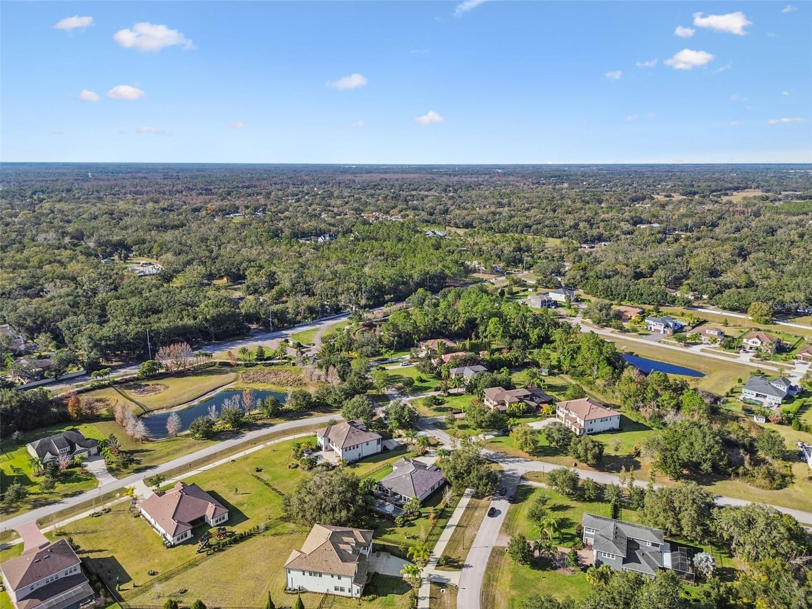 Image 65 of 77 For 2519 Cordoba Ranch Boulevard