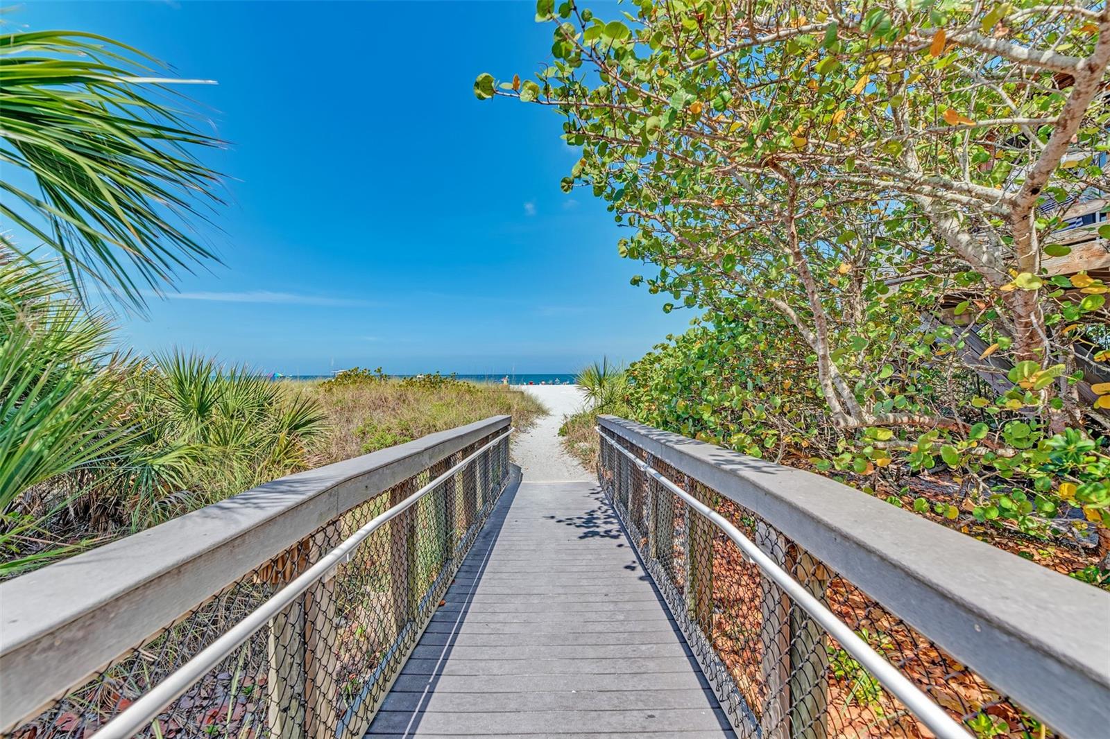 Image 33 of 39 For 282 Santa Maria Street