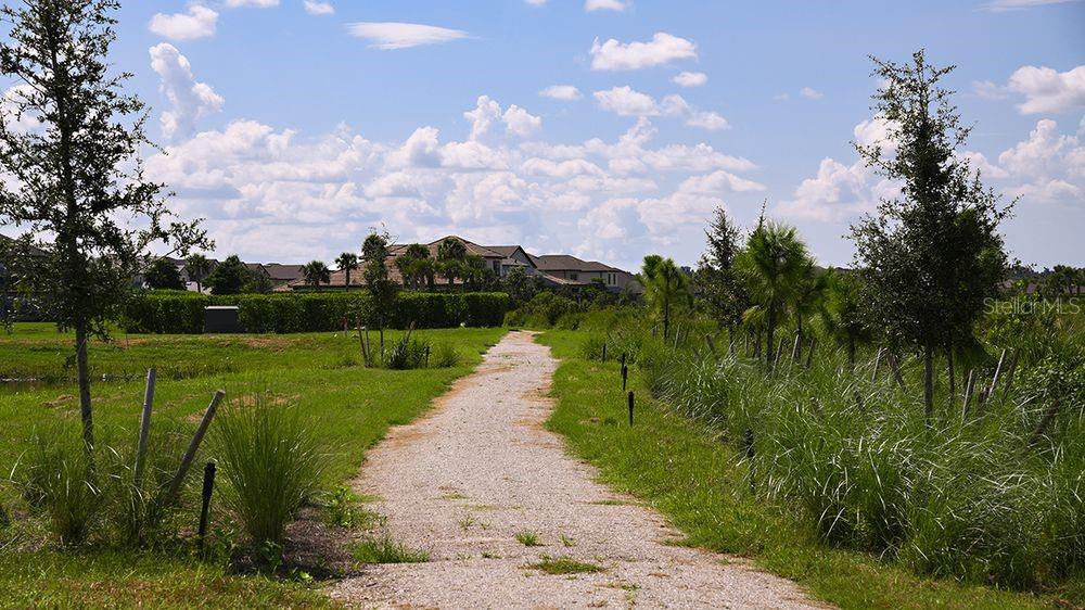Image 52 of 61 For 8616 Snowfall Street