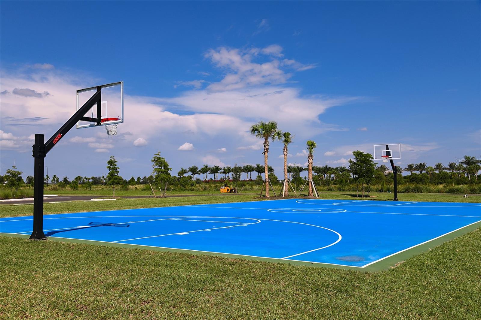 Image 51 of 60 For 8612 Snowfall Street