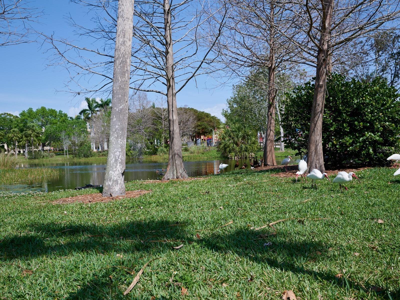 Image 97 of 100 For 516 Laurel Park Drive