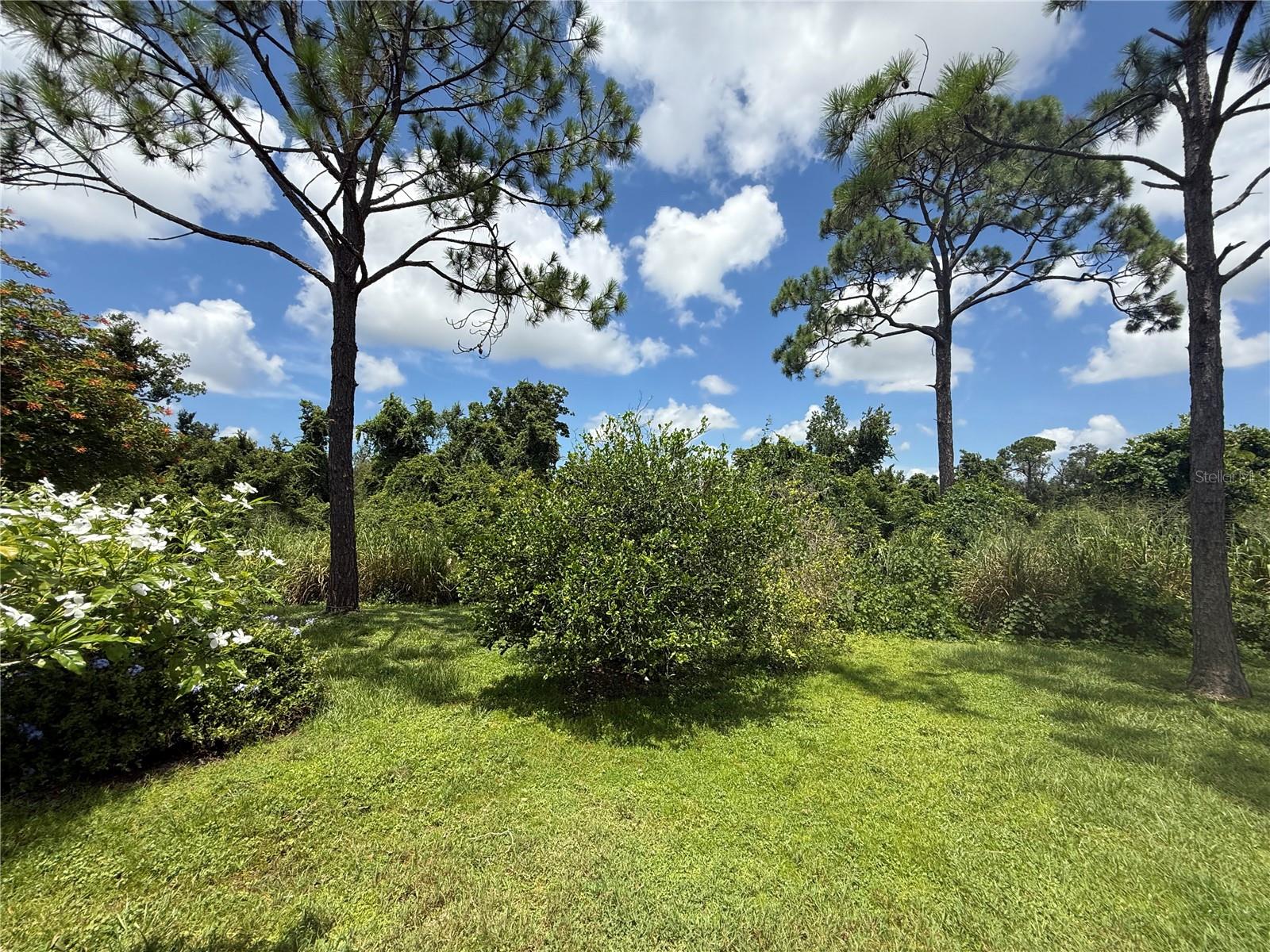 Image 55 of 57 For 1702 Old Summerwood Boulevard