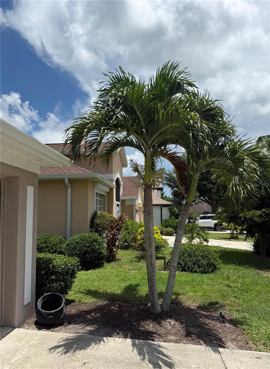 Image 6 of 57 For 1702 Old Summerwood Boulevard