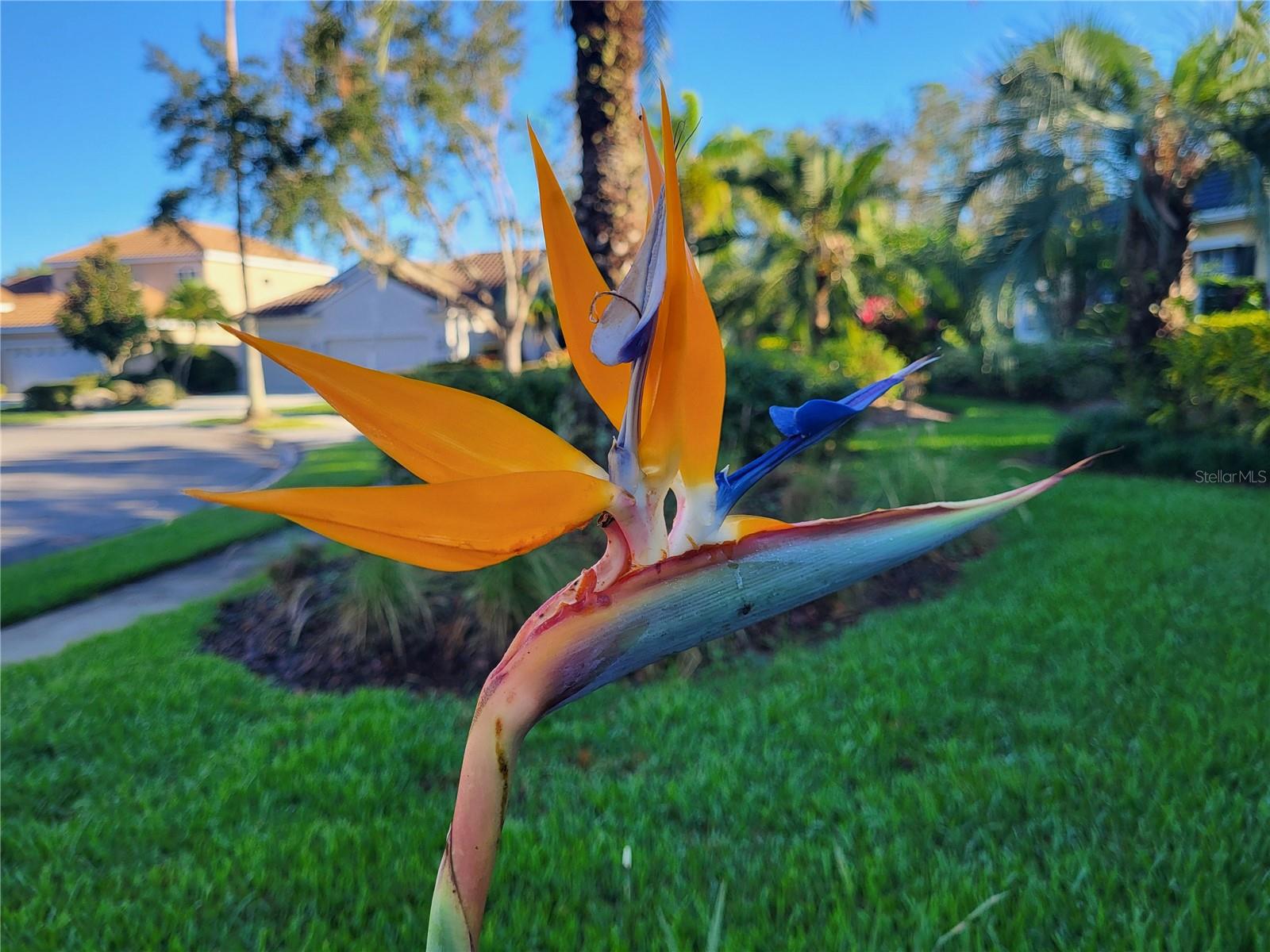 Image 81 of 100 For 6614 Tallmast Circle