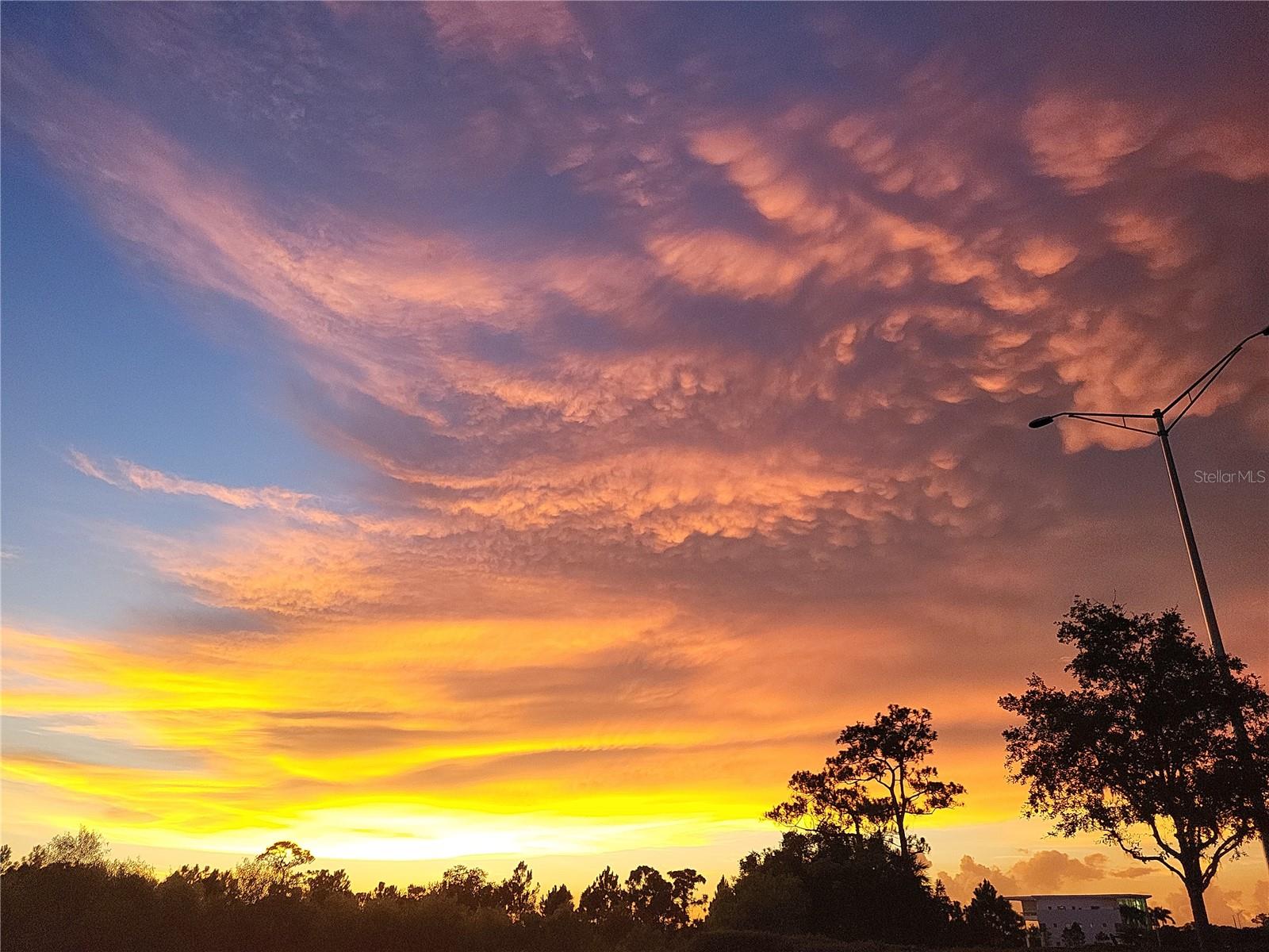 Image 97 of 100 For 6614 Tallmast Circle