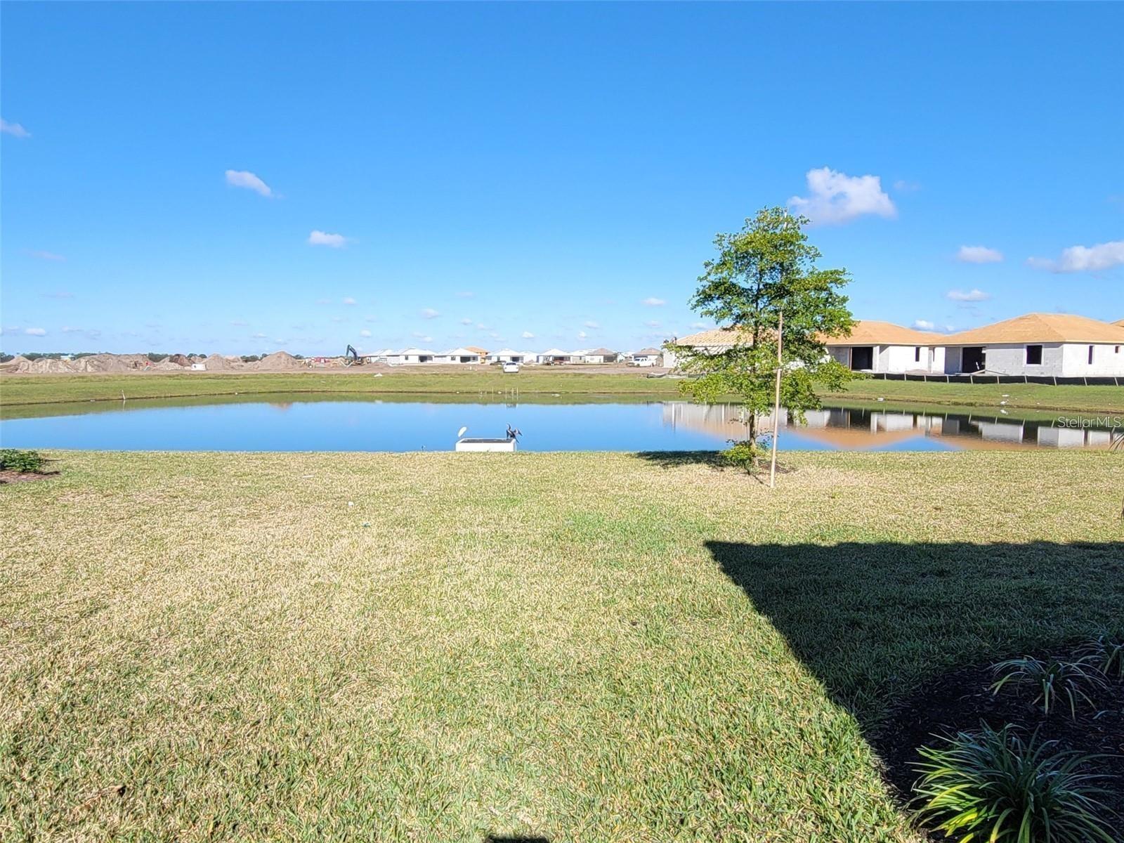 Image 6 of 7 For 15719 Islandwalk Avenue