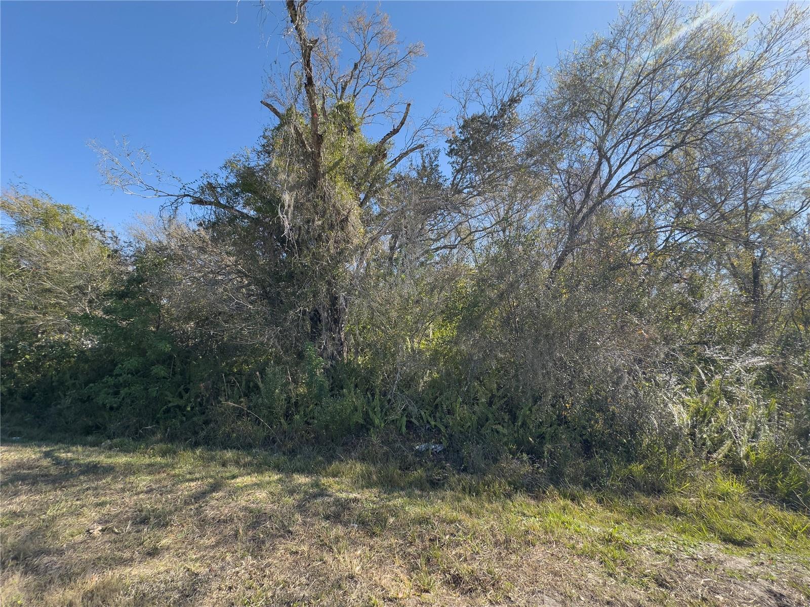 Image 2 of 5 For 36424 Singletary Road