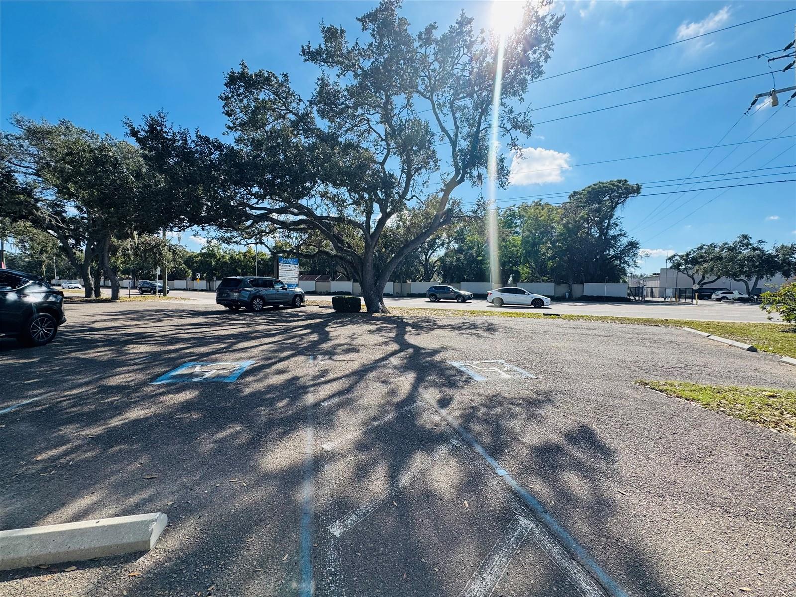 Image 3 of 26 For 4509 Bee Ridge Road E