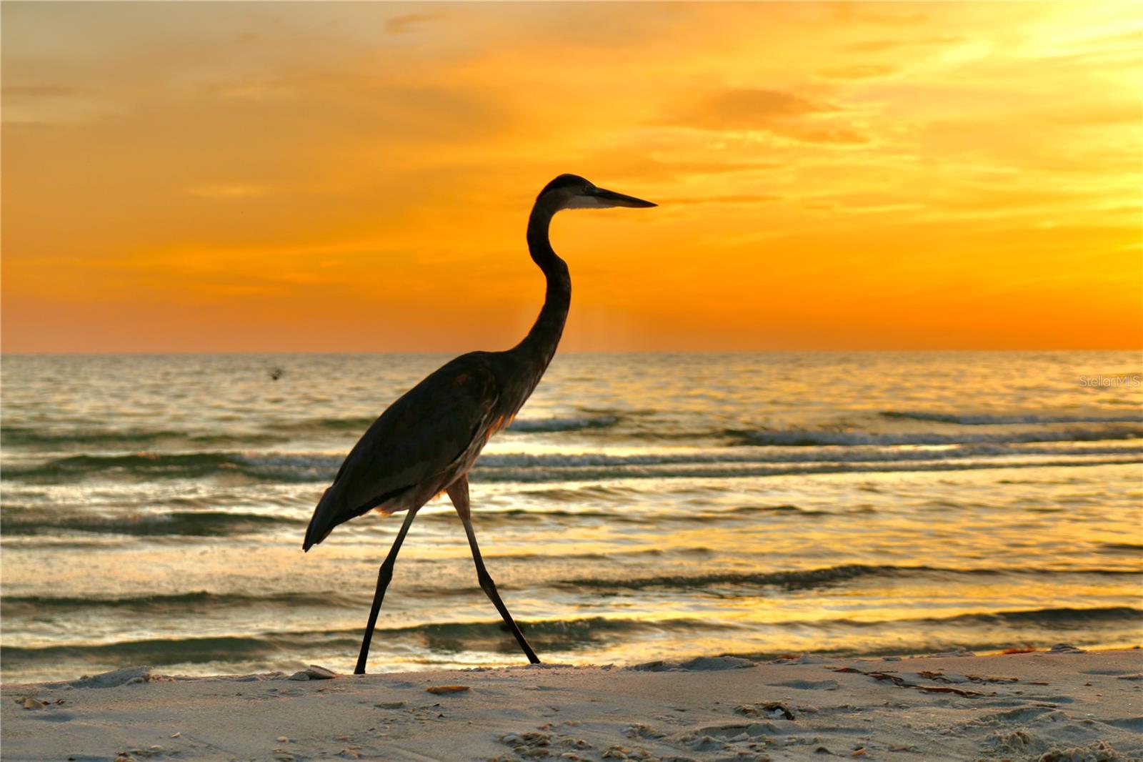 Image 51 of 53 For 1035 Seaside Drive 503