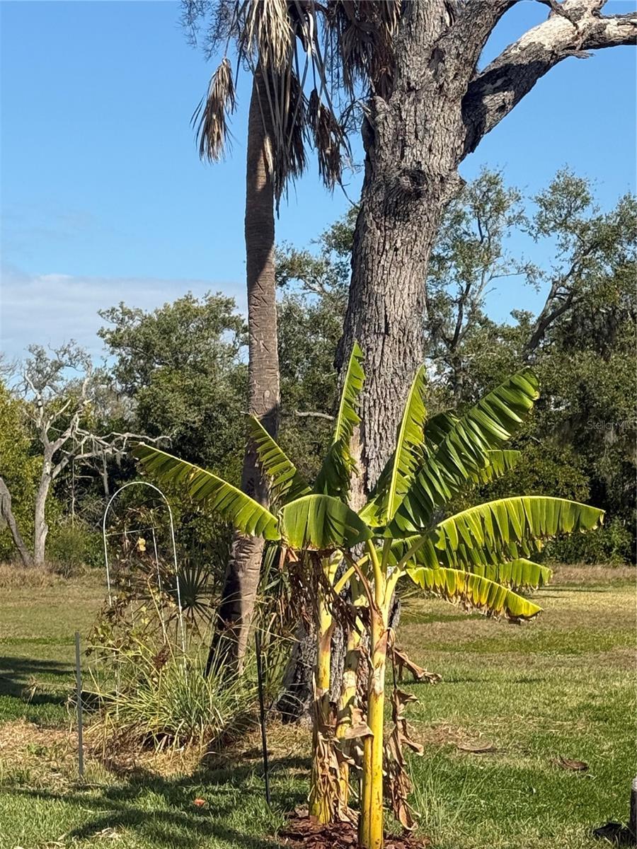 Image 6 of 10 For 912 Piney Point Road