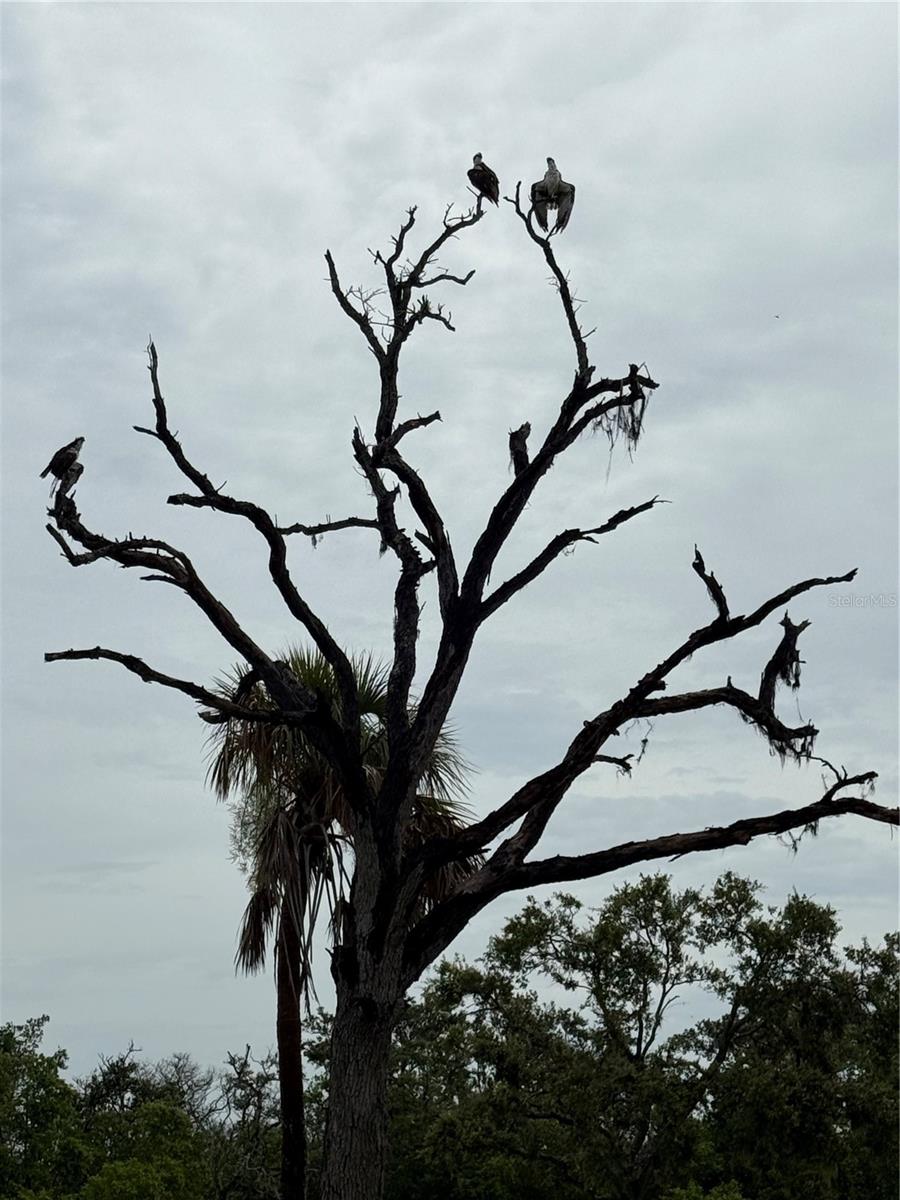 Image 8 of 10 For 912 Piney Point Road