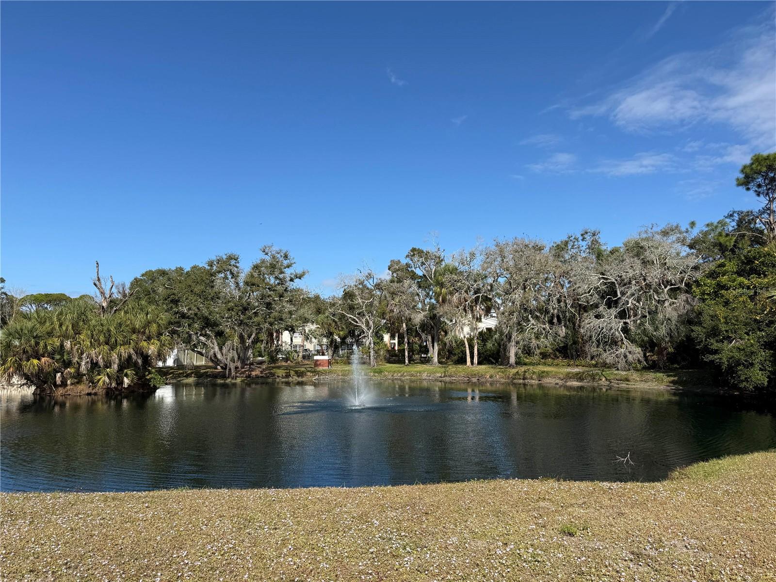 Image 6 of 35 For 4805 Rilma Avenue 108