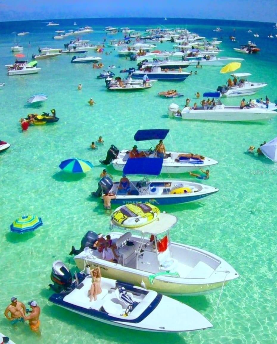 Image 24 of 25 For 7664 Livewell Lane