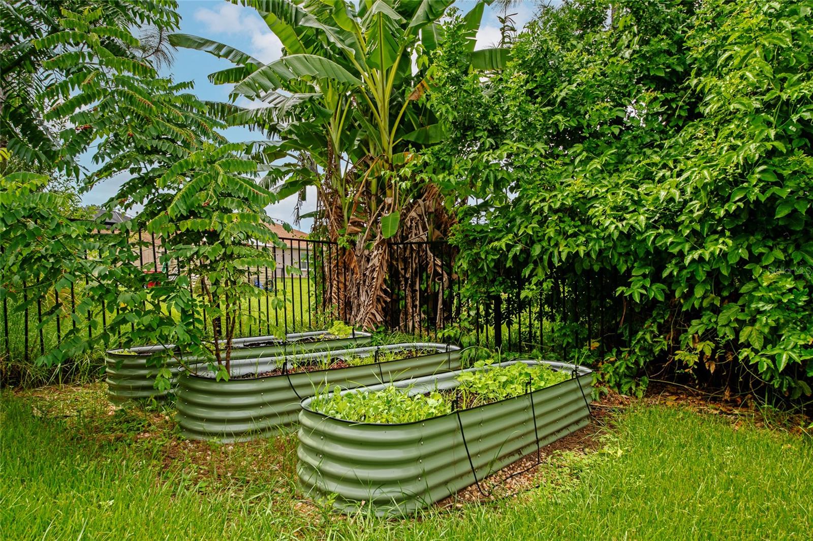 Image 37 of 41 For 8175 Dittmar Street