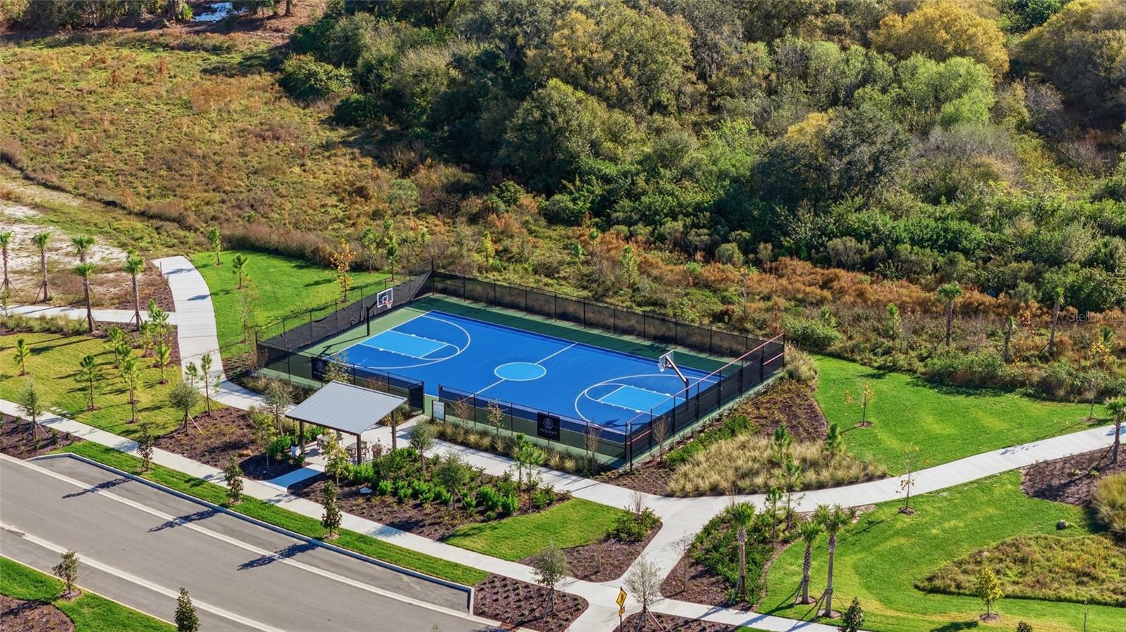 Image 51 of 67 For 815 Blue Shell Loop