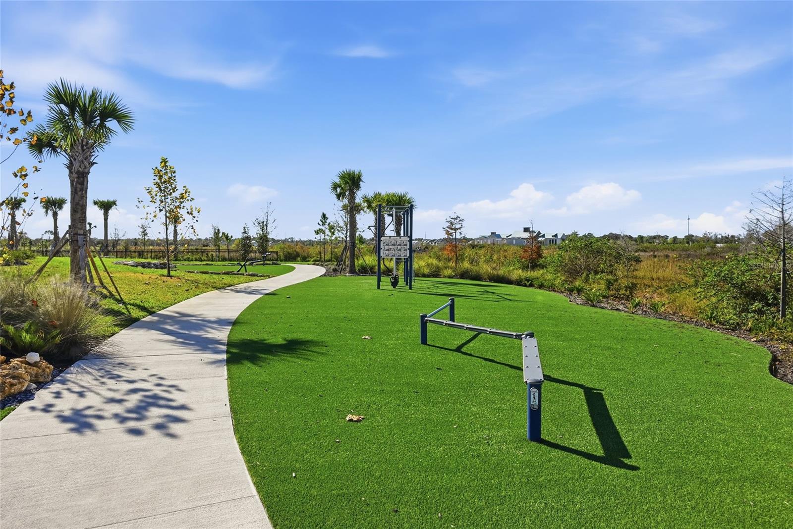 Image 57 of 67 For 815 Blue Shell Loop