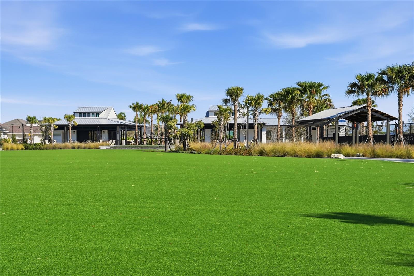 Image 67 of 67 For 815 Blue Shell Loop