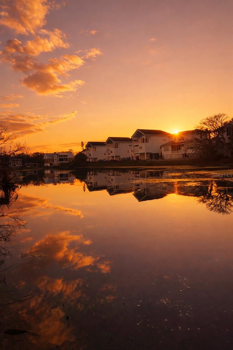 Image 59 of 59 For 4646 Gleason Avenue