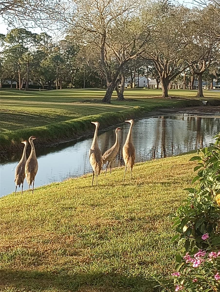 Image 16 of 18 For 7880 Palm Aire Lane 102