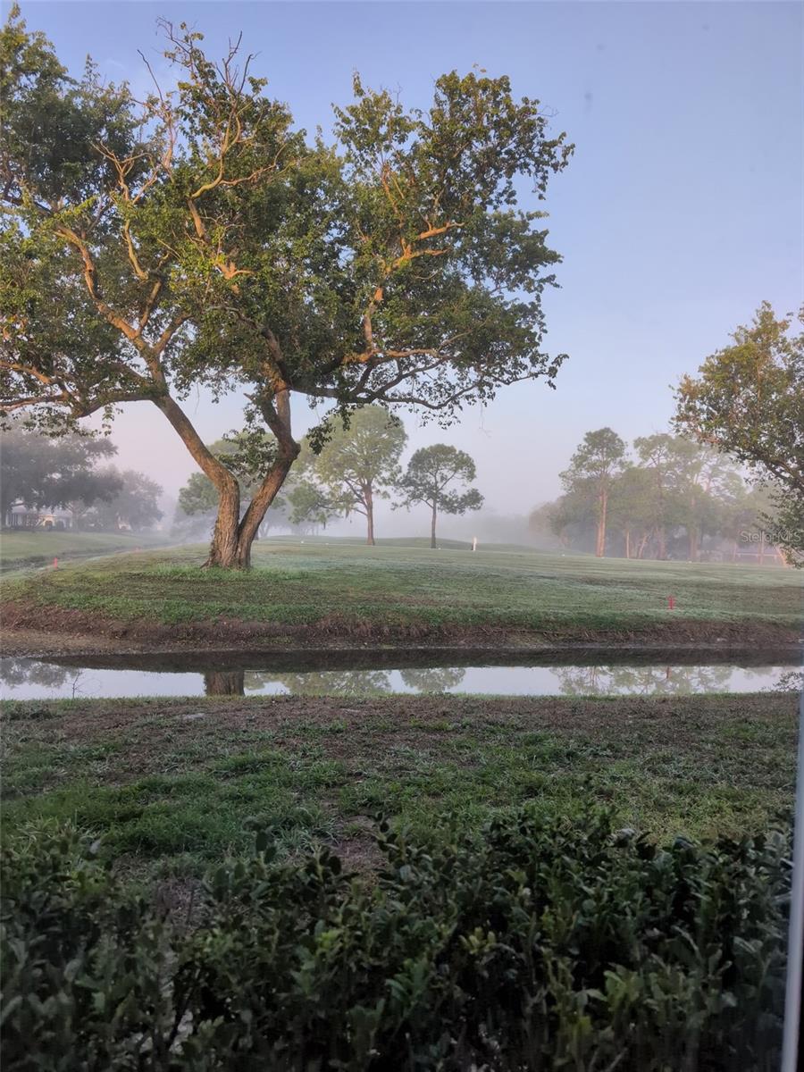 Image 18 of 18 For 7880 Palm Aire Lane 102