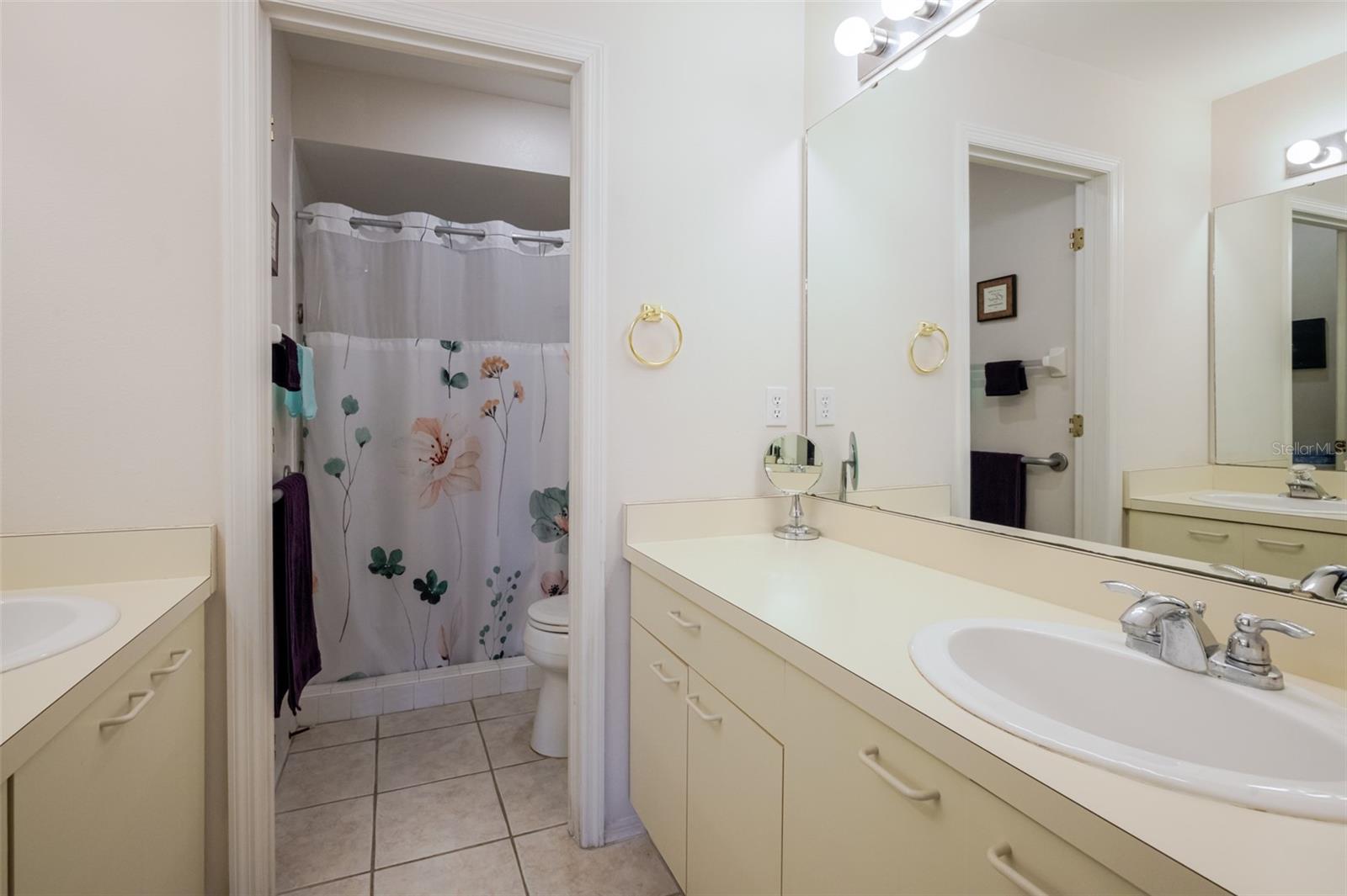 Image 15 of 24 For 3574 Blechnum Fern Lane