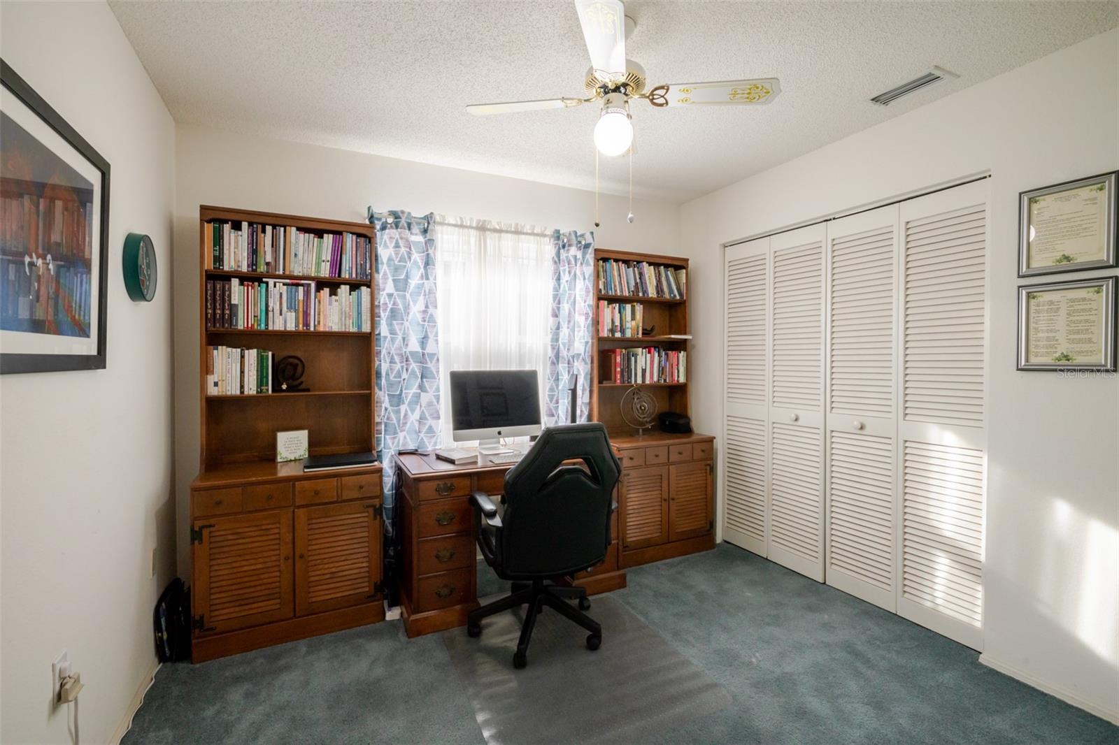 Image 16 of 24 For 3574 Blechnum Fern Lane