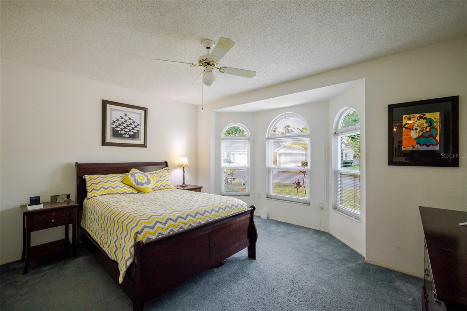 Image 18 of 24 For 3574 Blechnum Fern Lane