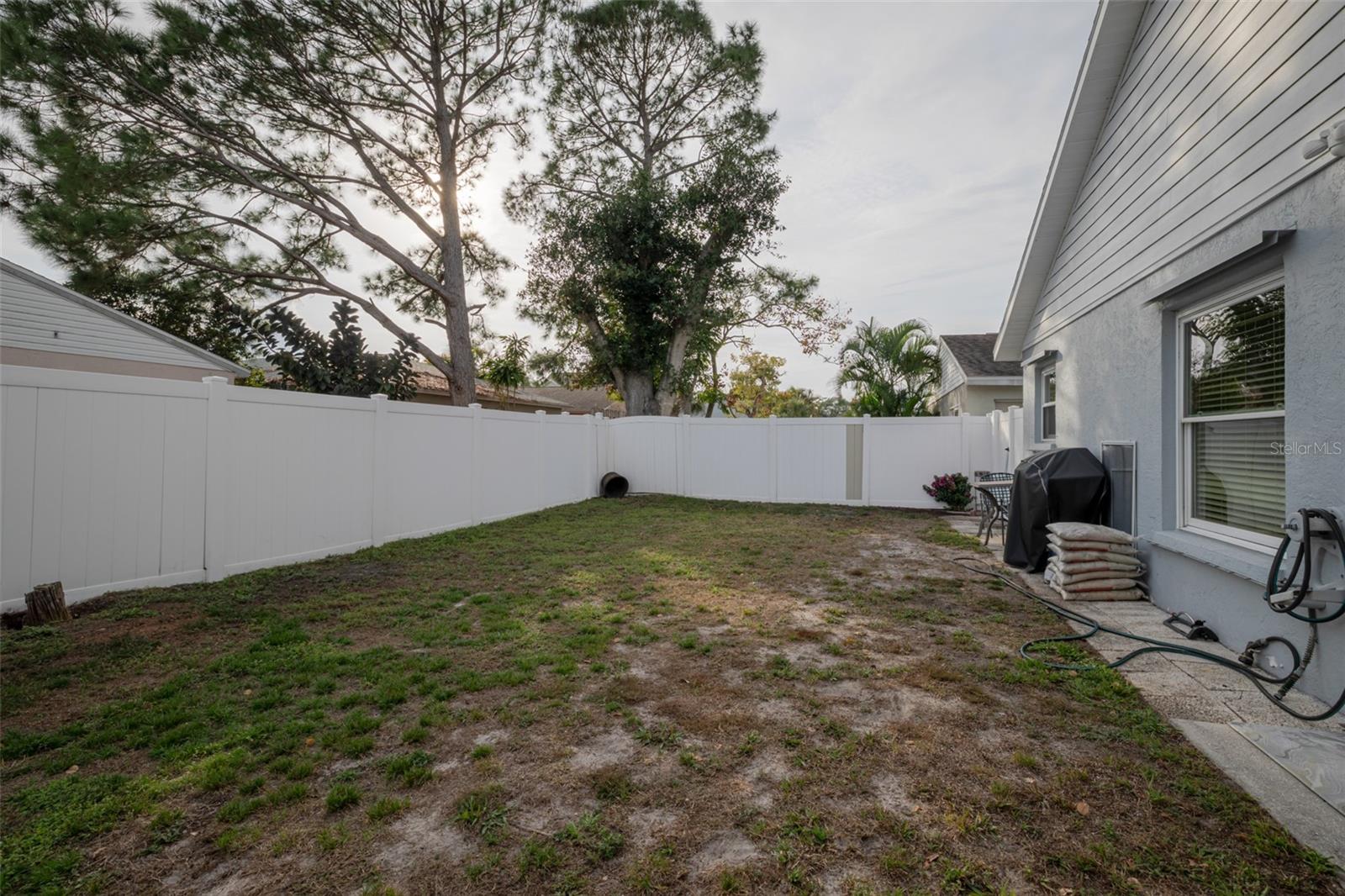 Image 22 of 24 For 3574 Blechnum Fern Lane