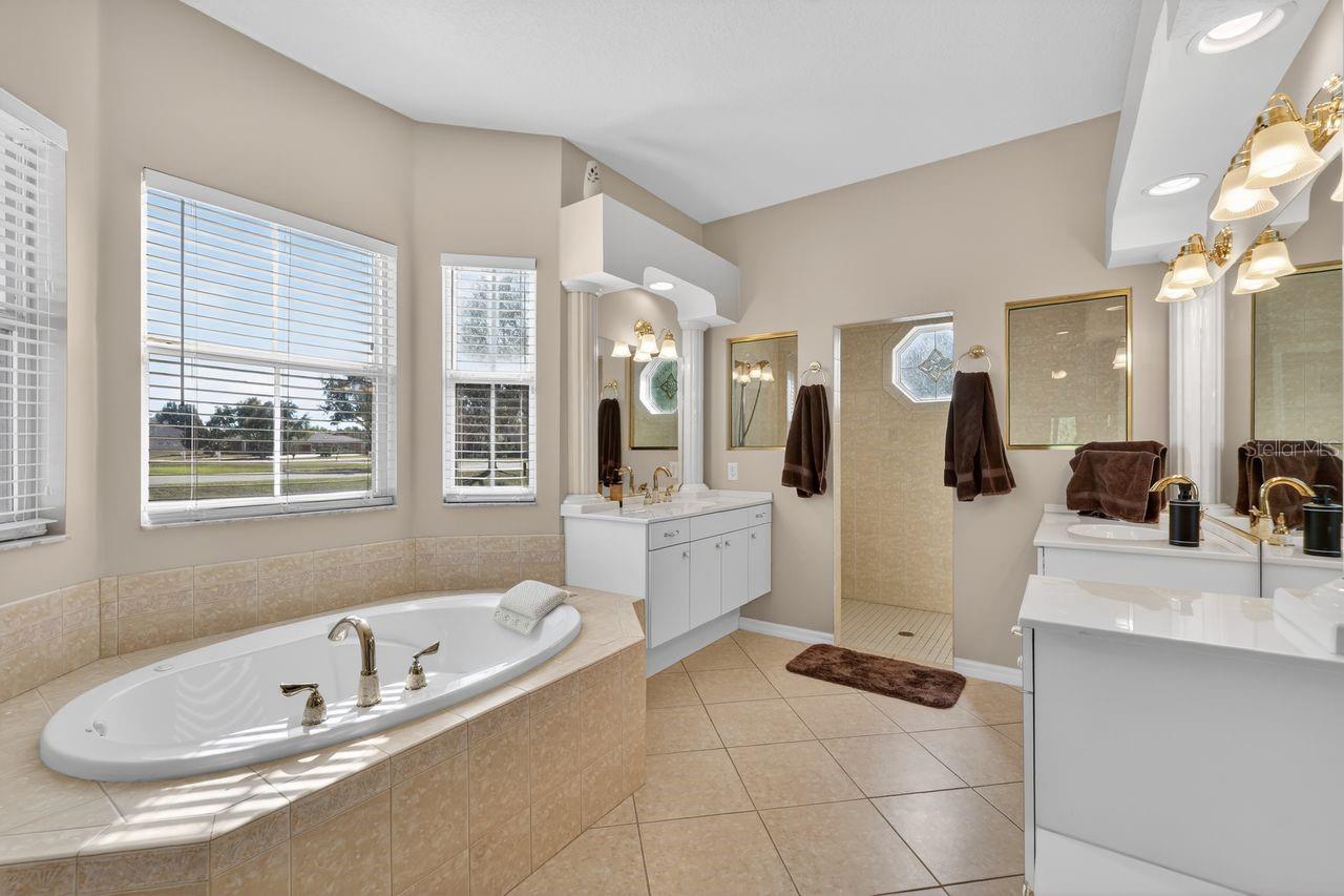 Listing photo id 21 for 17312 Howling Wolf Run