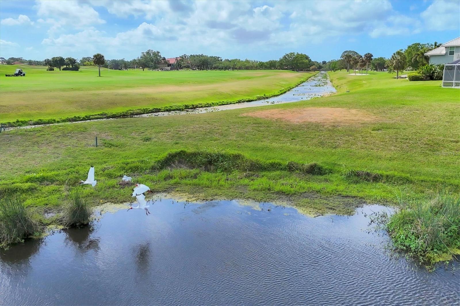 Image 62 of 68 For 7612 Calle Facil