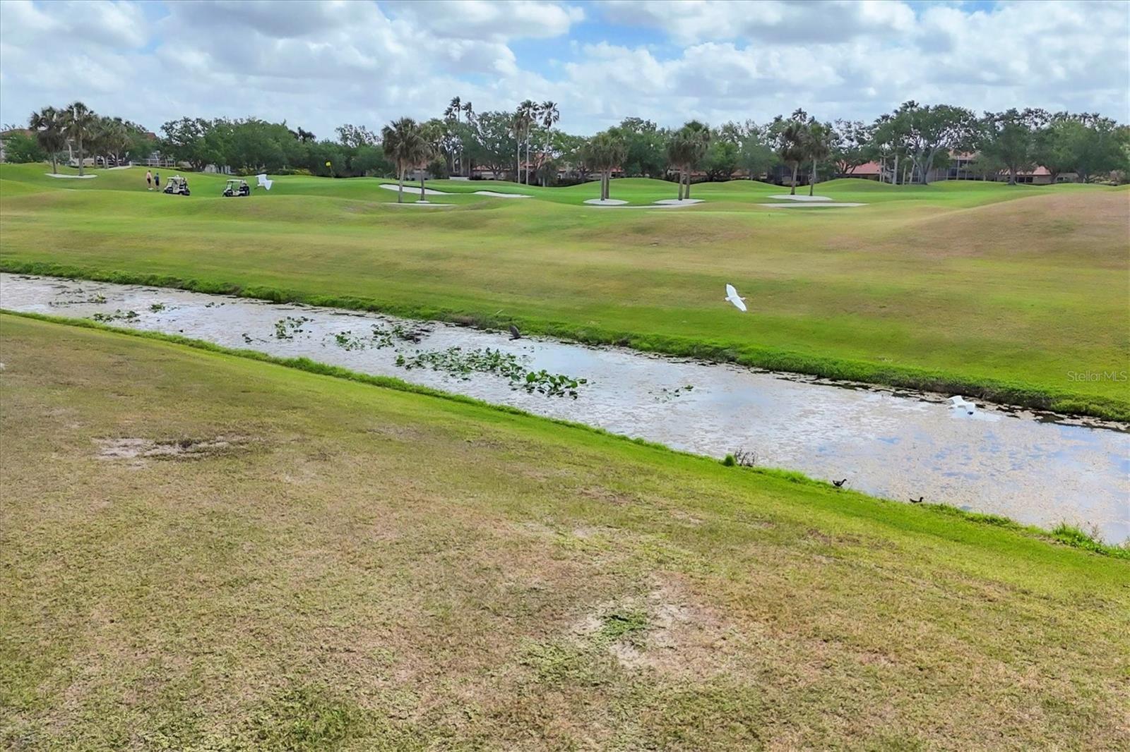 Image 63 of 68 For 7612 Calle Facil