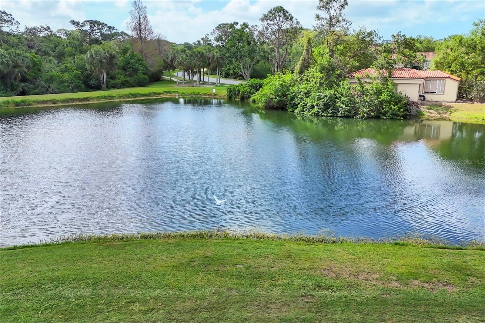 Image 68 of 68 For 7612 Calle Facil