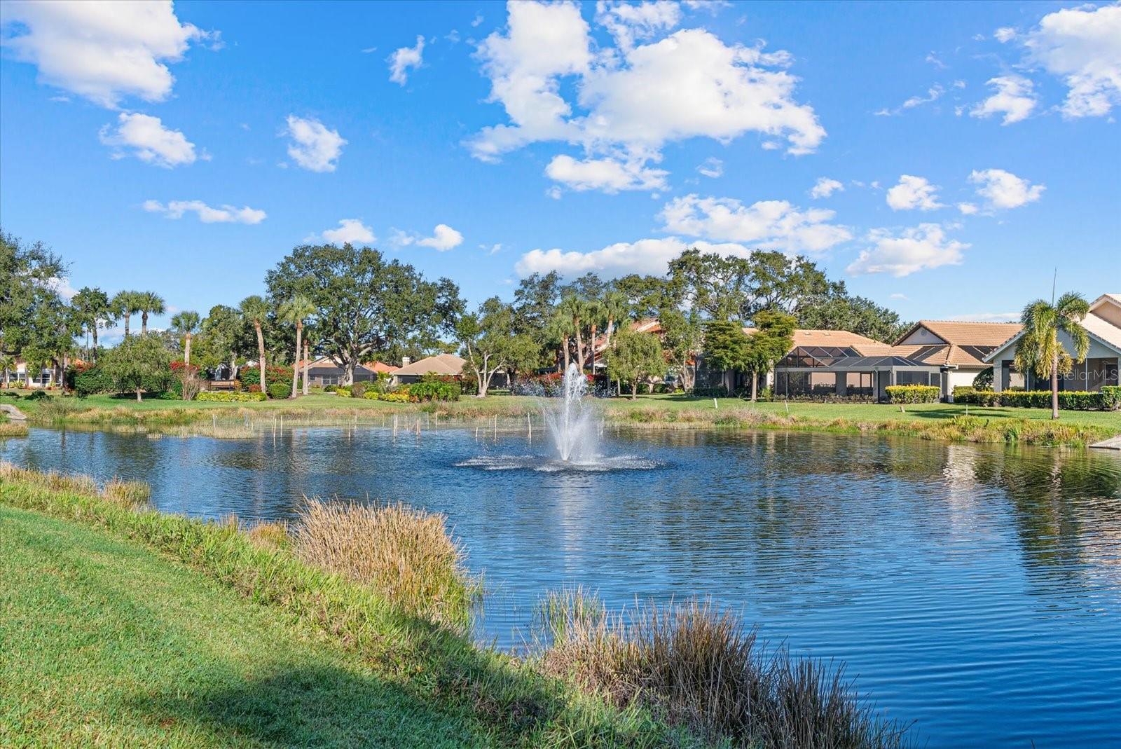 Image 4 of 34 For 4439 Deer Trail Boulevard