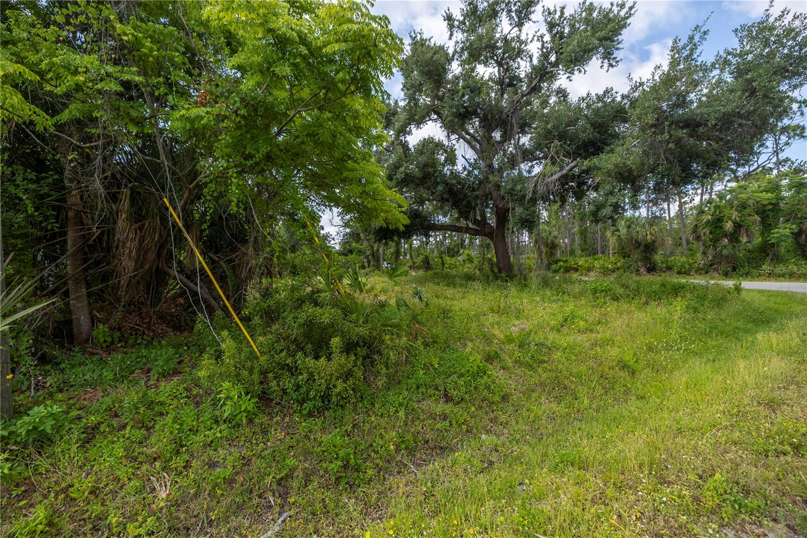 Image 3 of 15 For D Allyon Drive