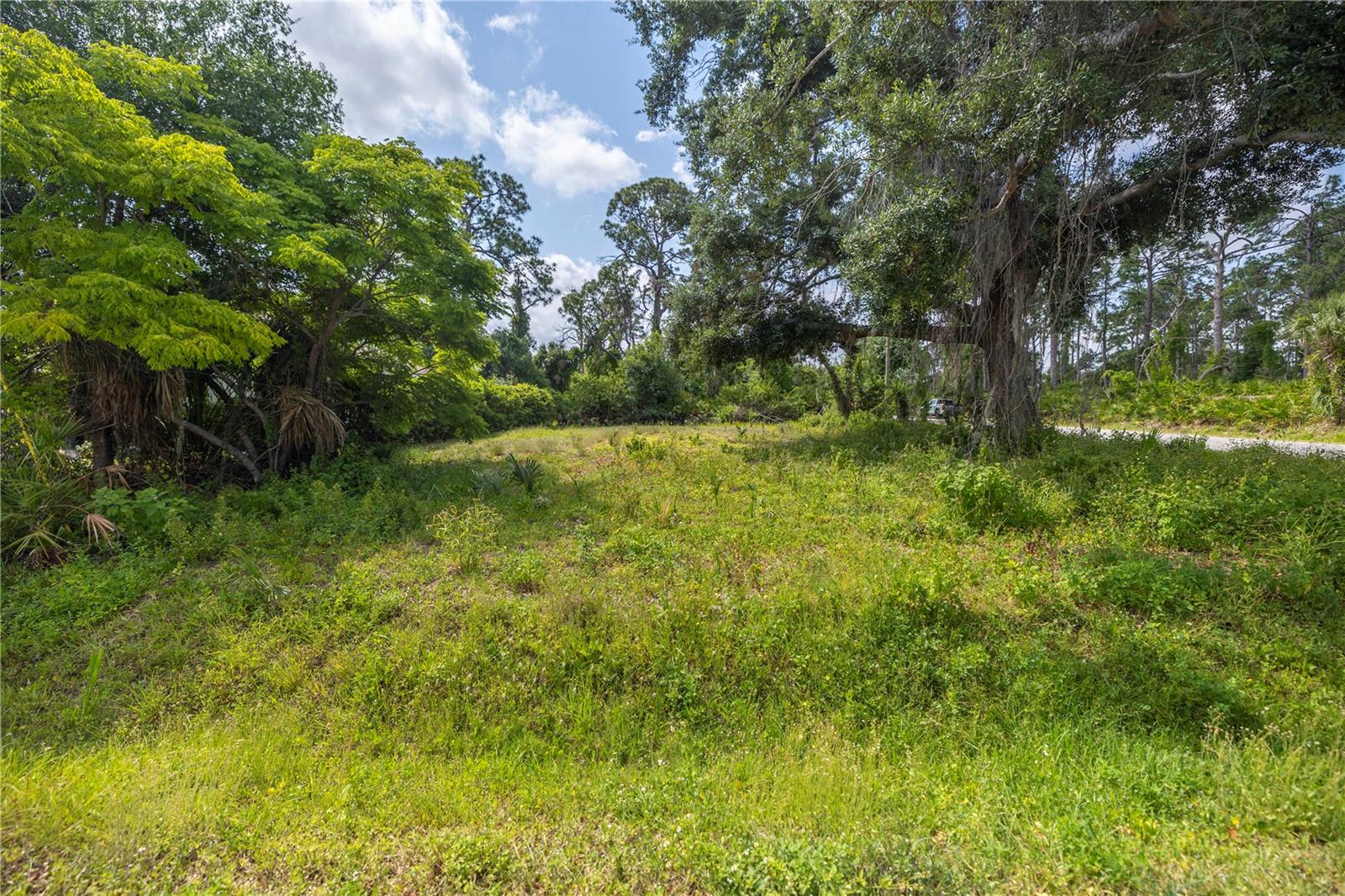 Image 7 of 15 For D Allyon Drive