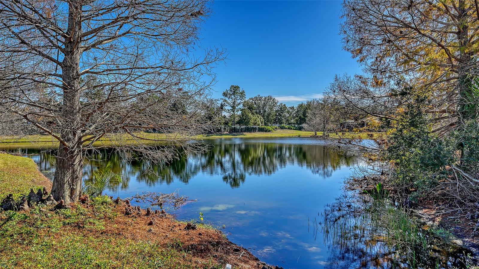 Image 49 of 96 For 7448 Riviera Cove